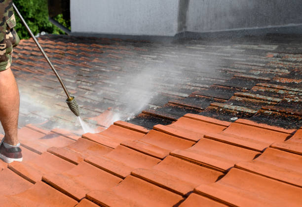 Best Deck Cleaning Services  in Rock Hall, MD