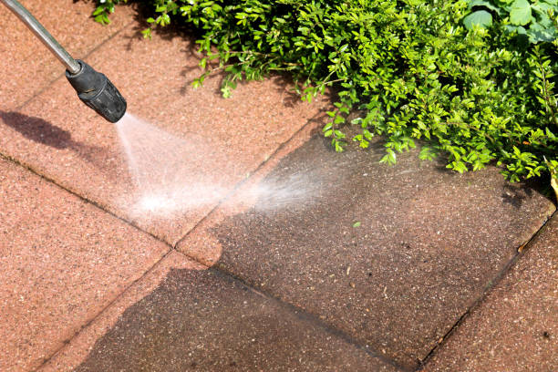 Best Affordable Pressure Washing  in Rock Hall, MD